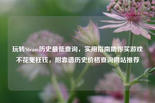 玩转Steam历史最低查询,实用指南助你买游戏不花冤枉钱,附靠谱历史价格查询网站推荐