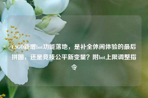 CSGO新增bot功能落地,是补全休闲体验的最后拼图,还是竞技公平新变量?附bot上限调整指令