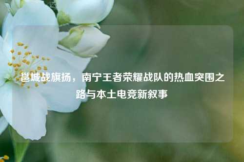 邕城战旗扬,南宁王者荣耀战队的热血突围之路与本土电竞新叙事