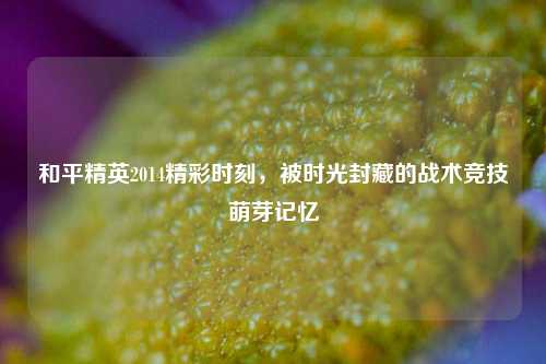 和平精英2014精彩时刻，被时光封藏的战术竞技萌芽记忆