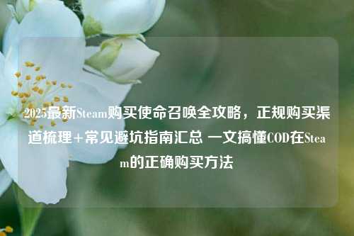 2025最新Steam购买使命召唤全攻略,正规购买渠道梳理+常见避坑指南汇总 一文搞懂COD在Steam的正确购买方法
