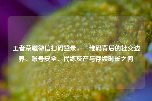 王者荣耀微信扫码登录，二维码背后的社交边界、账号安全、代练灰产与存续时长之问