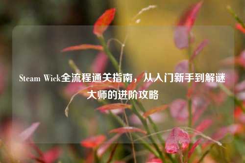 Steam Wick全流程通关指南,从入门新手到解谜大师的进阶攻略