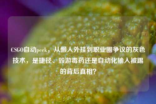CSGO自动peek,从懒人外挂到职业圈争议的灰色技术,是捷径、毁游毒药还是自动化输入被踢的背后真相?