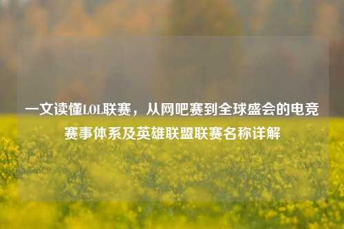一文读懂LOL联赛,从网吧赛到全球盛会的电竞赛事体系及英雄联盟联赛名称详解