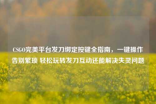 CSGO完美平台发刀绑定按键全指南,一键操作告别繁琐 轻松玩转发刀互动还能解决失灵问题