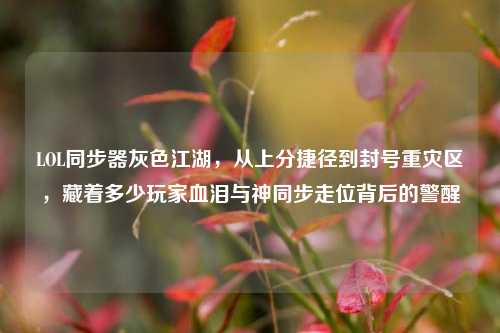 LOL同步器灰色江湖,从上分捷径到封号重灾区,藏着多少玩家血泪与神同步走位背后的警醒