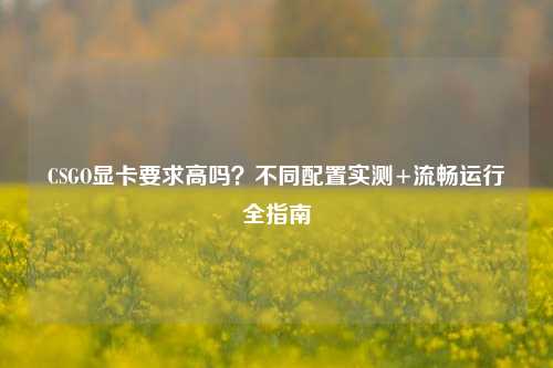 CSGO显卡要求高吗?不同配置实测+流畅运行全指南
