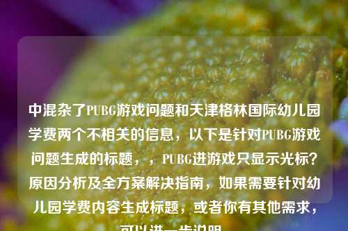 中混杂了PUBG游戏问题和天津格林国际幼儿园学费两个不相关的信息，以下是针对PUBG游戏问题生成的标题，，PUBG进游戏只显示光标？原因分析及全方案解决指南，如果需要针对幼儿园学费内容生成标题，或者你有其他需求，可以进一步说明。