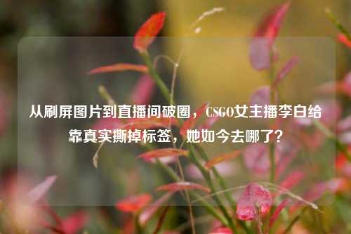 从刷屏图片到直播间破圈,CSGO女主播李白给靠真实撕掉标签,她如今去哪了?