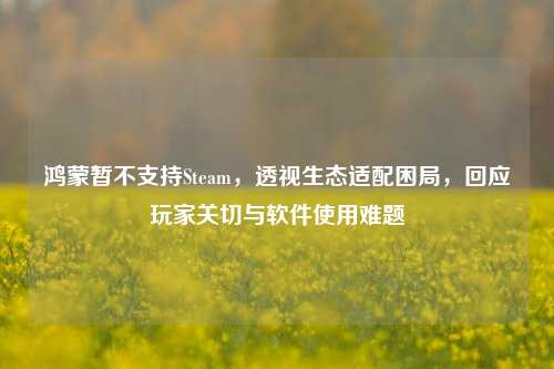 鸿蒙暂不支持Steam，透视生态适配困局，回应玩家关切与软件使用难题