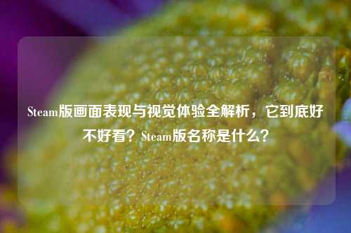 Steam版画面表现与视觉体验全解析,它到底好不好看?Steam版名称是什么?