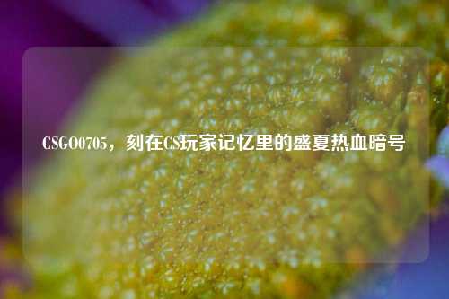 CSGO0705,刻在CS玩家记忆里的盛夏热血暗号