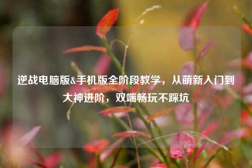 逆战电脑版&手机版全阶段教学,从萌新入门到大神进阶,双端畅玩不踩坑