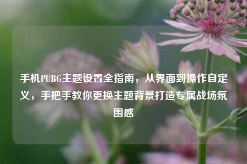 手机PUBG主题设置全指南,从界面到操作自定义,手把手教你更换主题背景打造专属战场氛围感