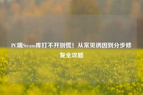 PC端Steam库打不开别慌!从常见诱因到分步修复全攻略