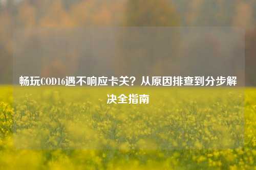 畅玩COD16遇不响应卡关?从原因排查到分步解决全指南