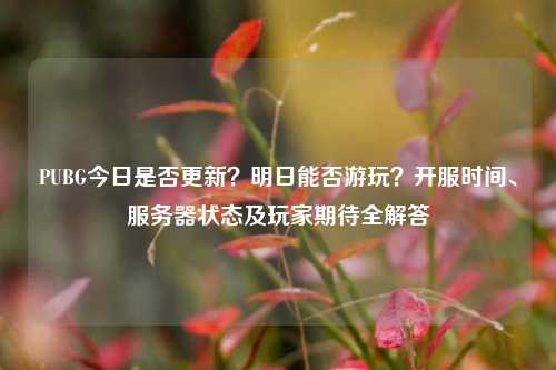 PUBG今日是否更新？明日能否游玩？开服时间、服务器状态及玩家期待全解答