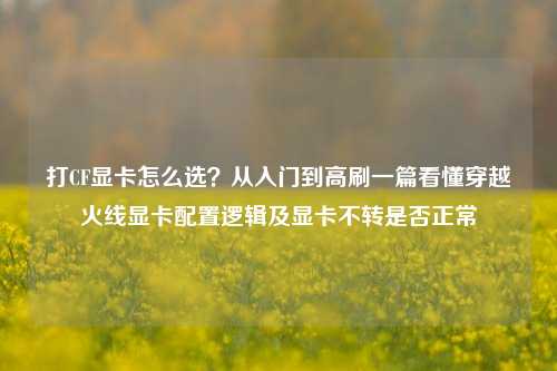 打CF显卡怎么选?从入门到高刷一篇看懂穿越火线显卡配置逻辑及显卡不转是否正常