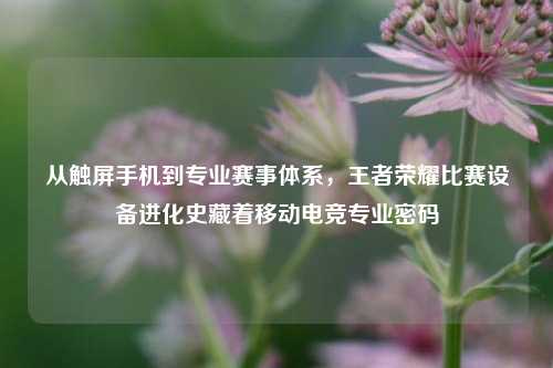 从触屏手机到专业赛事体系,王者荣耀比赛设备进化史藏着移动电竞专业密码