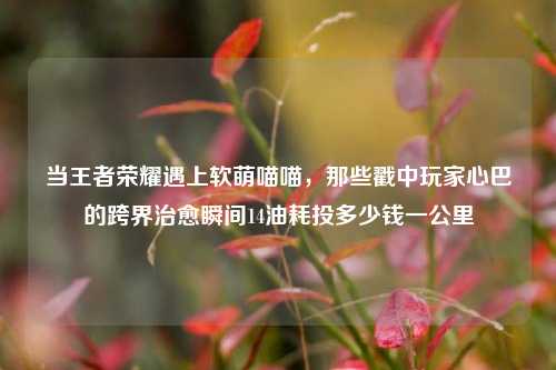 当王者荣耀遇上软萌喵喵，那些戳中玩家心巴的跨界治愈瞬间14油耗投多少钱一公里