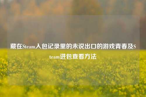 藏在Steam入包记录里的未说出口的游戏青春及Steam进包查看方法
