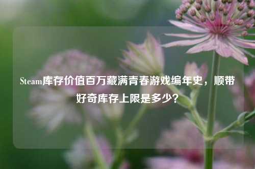 Steam库存价值百万藏满青春游戏编年史,顺带好奇库存上限是多少?