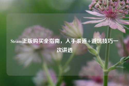 Steam正版购买全指南,入手渠道+避坑技巧一次讲透