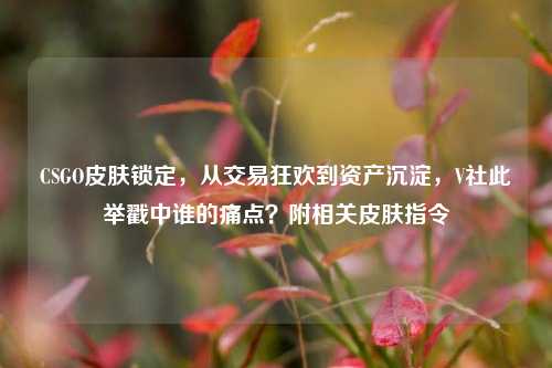 CSGO皮肤锁定,从交易狂欢到资产沉淀,V社此举戳中谁的痛点?附相关皮肤指令