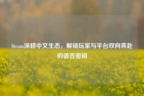 Steam深耕中文生态，解锁玩家与平台双向奔赴的语言密钥
