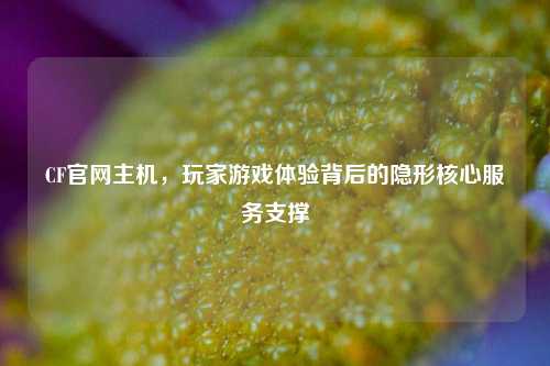 CF官网主机，玩家游戏体验背后的隐形核心服务支撑