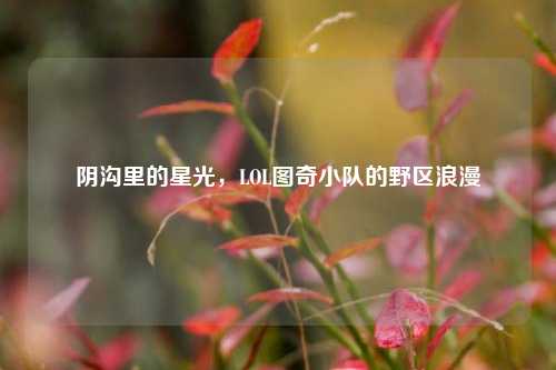 阴沟里的星光，LOL图奇小队的野区浪漫