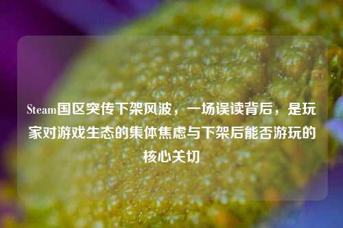Steam国区突传下架风波,一场误读背后,是玩家对游戏生态的集体焦虑与下架后能否游玩的核心关切