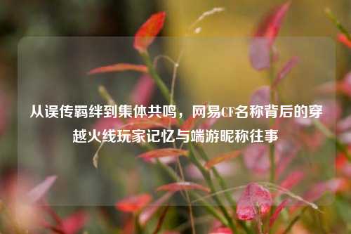 从误传羁绊到集体共鸣，网易CF名称背后的穿越火线玩家记忆与端游昵称往事