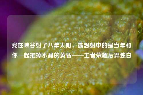 我在峡谷射了八年太阳，最想射中的是当年和你一起推掉水晶的黄昏——王者荣耀后羿独白