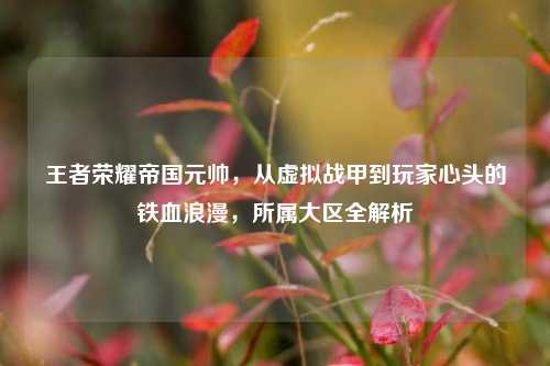 王者荣耀帝国元帅,从虚拟战甲到玩家心头的铁血浪漫,所属大区全解析