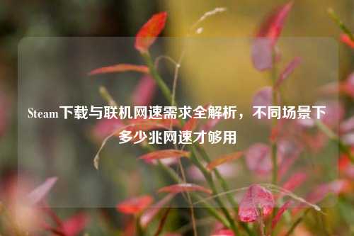 Steam下载与联机网速需求全解析，不同场景下多少兆网速才够用