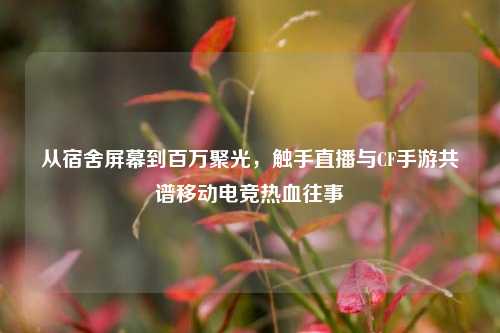 从宿舍屏幕到百万聚光，触手直播与CF手游共谱移动电竞热血往事