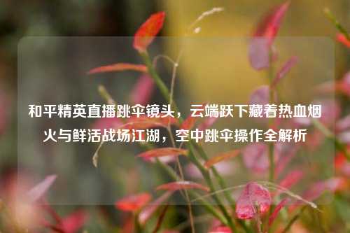 和平精英直播跳伞镜头，云端跃下藏着热血烟火与鲜活战场江湖，空中跳伞操作全解析
