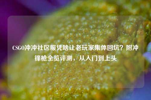 CSGO冲冲社区服凭啥让老玩家集体回坑?附冲锋枪全览评测,从入门到上头