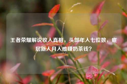 王者荣耀解说收入真相,头部年入七位数,底层新人月入难赚奶茶钱?