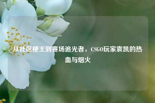 从社区梗王到赛场追光者，CSGO玩家袁凯的热血与烟火