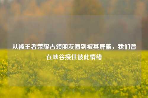 从被王者荣耀占领朋友圈到被其屏蔽,我们曾在峡谷接住彼此情绪