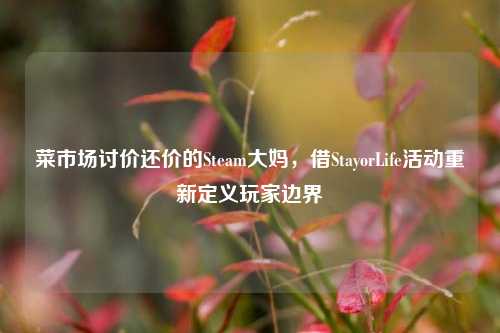 菜市场讨价还价的Steam大妈,借StayorLife活动重新定义玩家边界