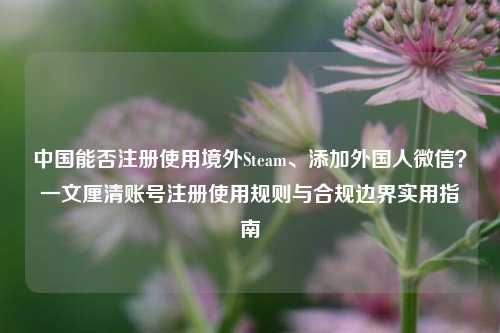 中国能否注册使用境外Steam、添加外国人微信？一文厘清账号注册使用规则与合规边界实用指南