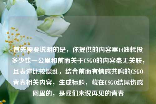 首先需要说明的是,你提供的内容里14油耗投多少钱一公里和前面关于CSGO的内容毫无关联,且表述比较混乱,结合前面有情感共鸣的CSGO青春相关内容,生成标题,藏在CSGO结尾伤感图里的,是我们未说再见的青春