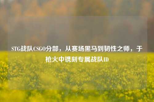 STG战队CSGO分部,从赛场黑马到韧性之师,于枪火中镌刻专属战队ID