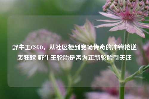 野牛王CSGO,从社区梗到赛场传奇的冲锋枪逆袭狂欢 野牛王轮胎是否为正新轮胎引关注