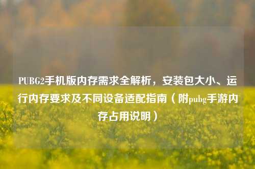 PUBG2手机版内存需求全解析,安装包大小、运行内存要求及不同设备适配指南(附pubg手游内存占用说明)