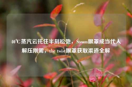 40℃蒸汽云托住半刻松弛,Steam眼罩成当代人解压刚需,the twist眼罩获取渠道全解